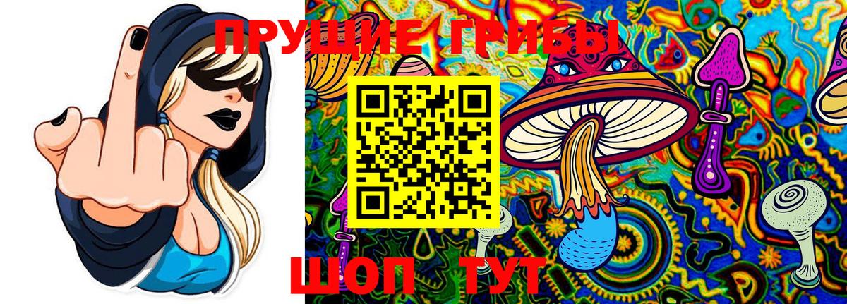 Псилоцибиновые грибы мицелий Озёры